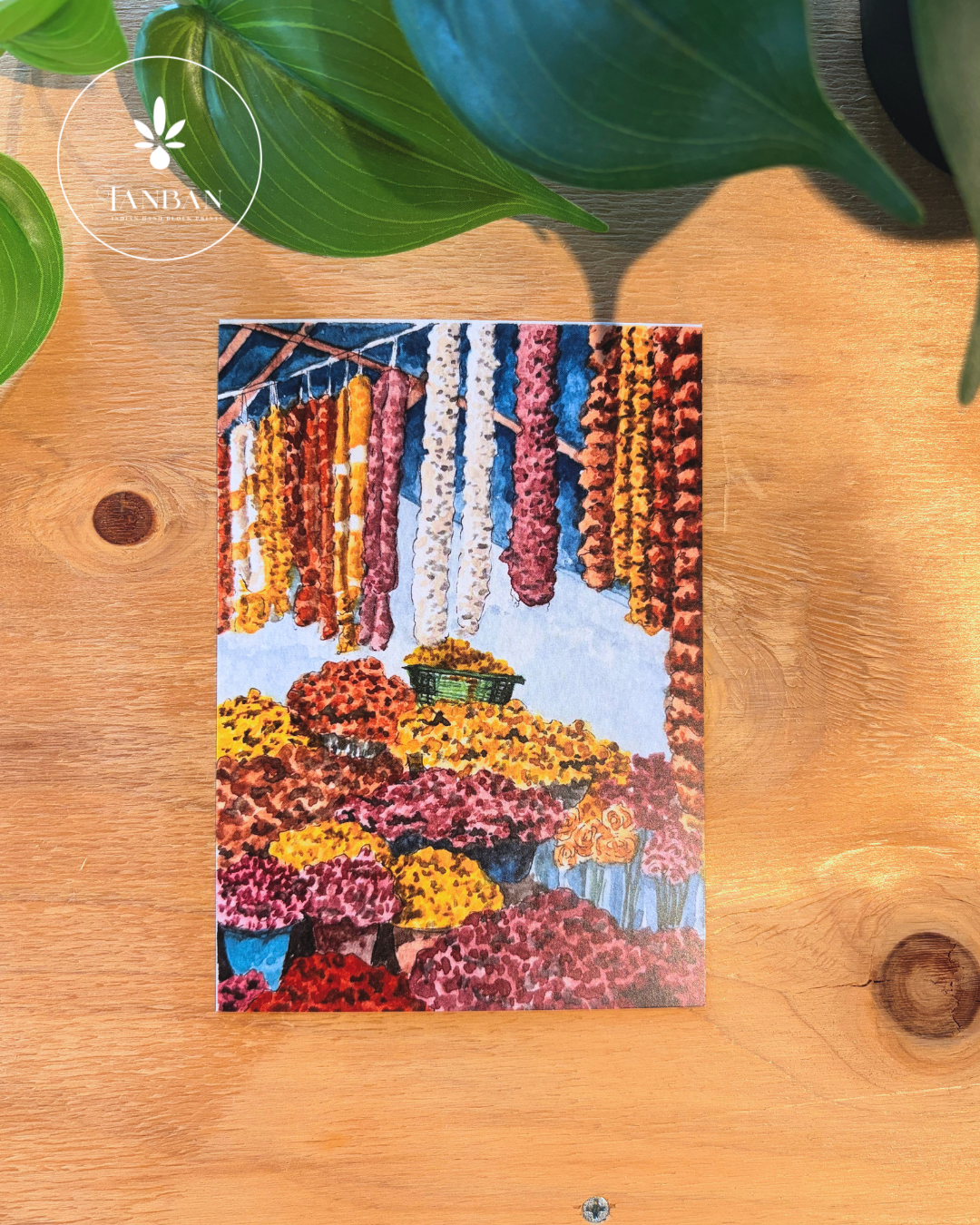 PACK OF POSTCARDS