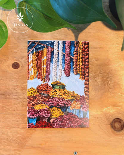 PACK OF POSTCARDS