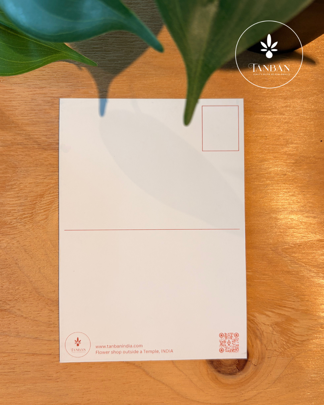 PACK OF POSTCARDS